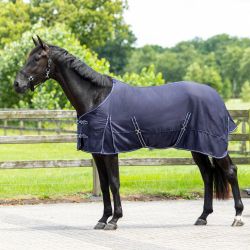 Chemise coton Basic Q-Essentials