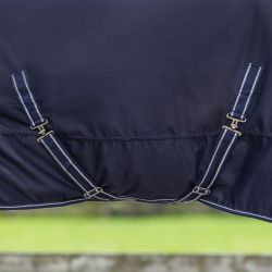 Chemise coton Basic Q-Essentials