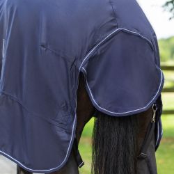 Chemise coton Basic Q-Essentials
