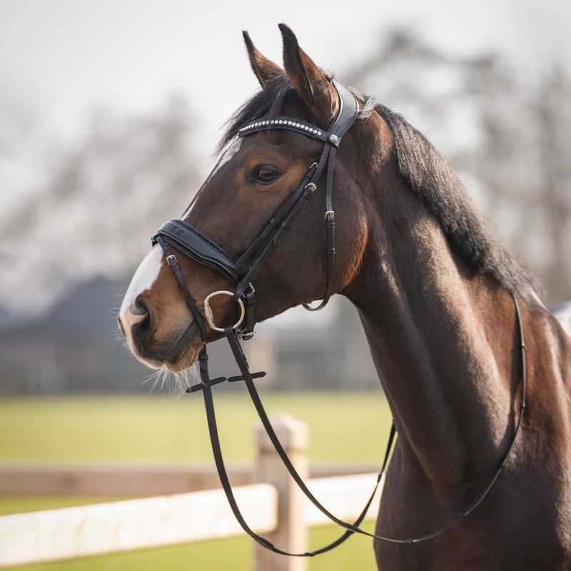 Bridon Skye QHP