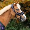 Ensemble licol et longe Isalyn QHP