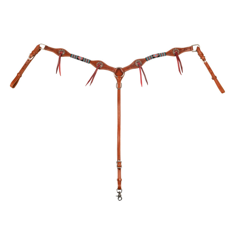 Collier de chasse Western Deluxe Pool's