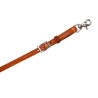 Collier de chasse Western Deluxe Pool's