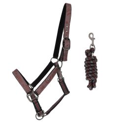 Ensemble licol et longe collection QHP