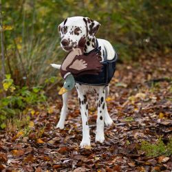 Jouet pour chien QHP