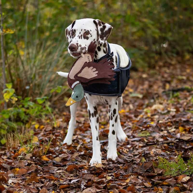 Jouet pour chien QHP