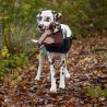 Jouet pour chien QHP