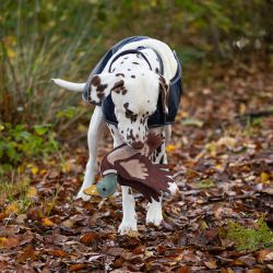 Jouet pour chien QHP