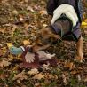 Jouet pour chien QHP
