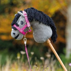 Licol et longe Isalyn Hobby horse QHP