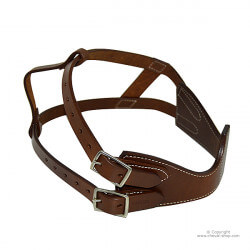 Collier anti tique Américain