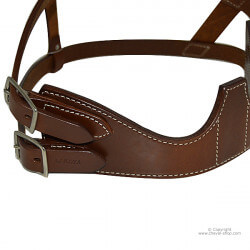 Collier anti tique Américain