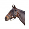 Frontal chasse mouche Harry's Horse