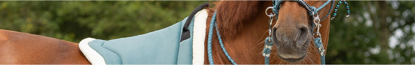 Équitation naturelle