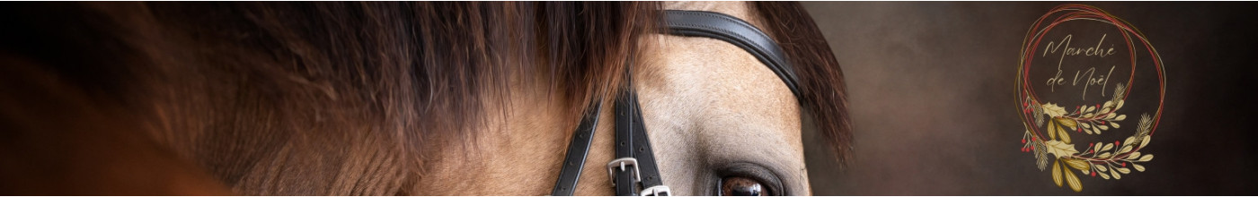 Noël pour le cheval