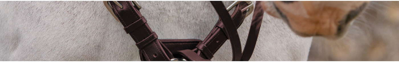 Collier de chasse