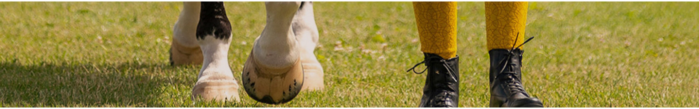 Chaussettes d'équitation