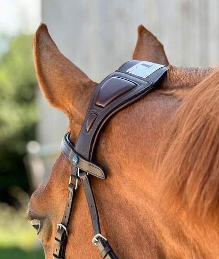 Aketus, aux petits soins