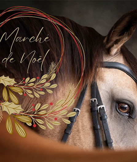 Aketus, aux petits soins