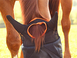 Masque anti-mouches avec oreilles