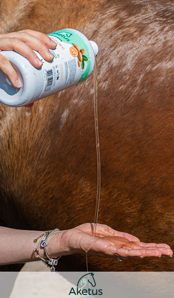 Shampoing soin Aketus