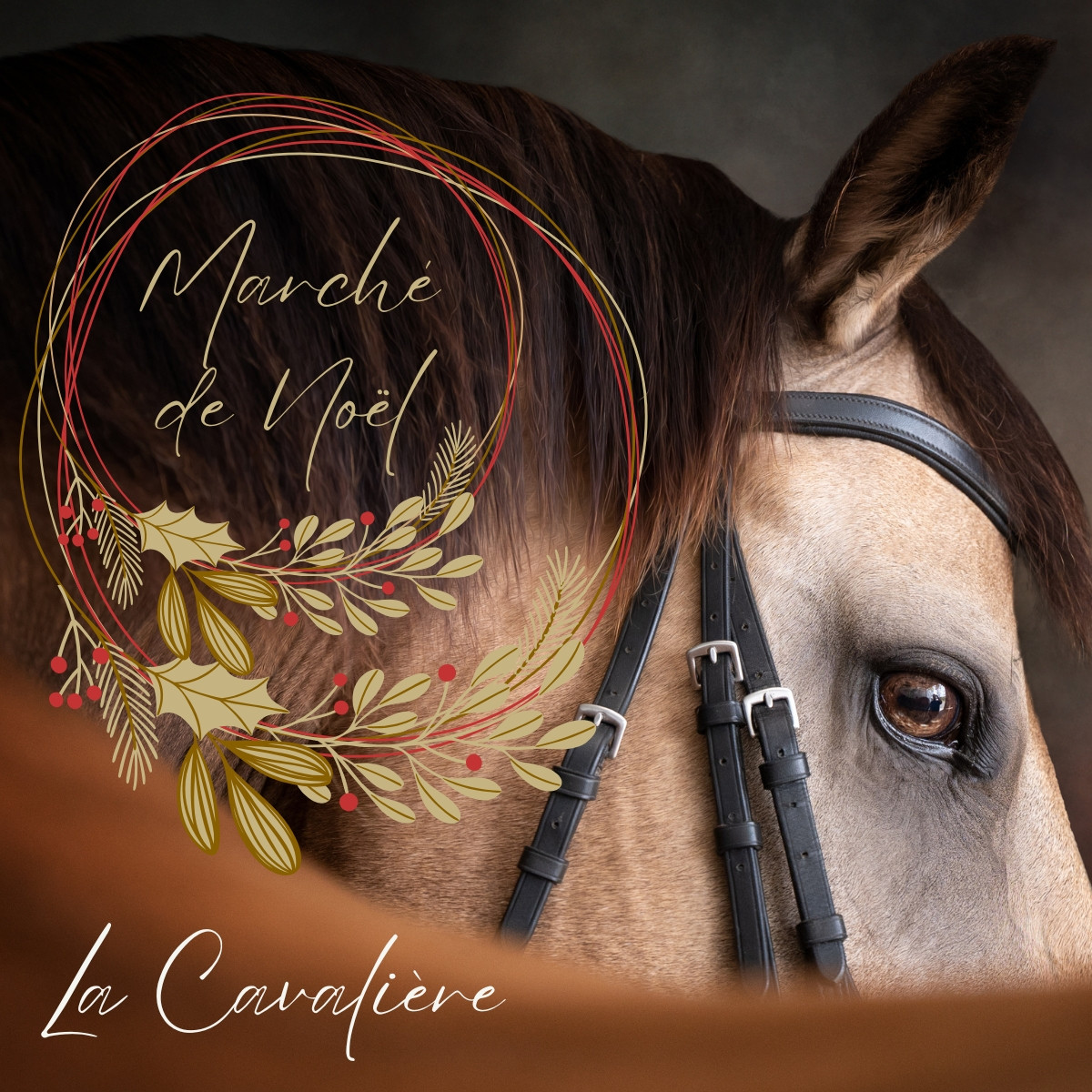 Noël pour la Cavalière