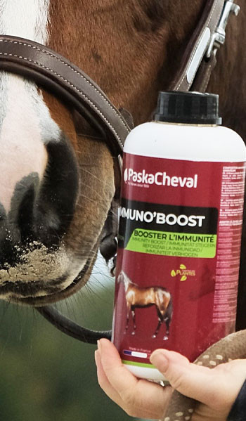 BOOSTEZ L'IMMUNITÉ DE VOTRE CHEVAL