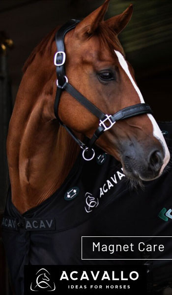 Massage et Bien-être Acavallo