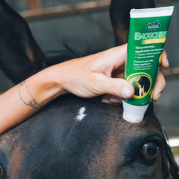 Répulsifs Roll-on, gels et baumes