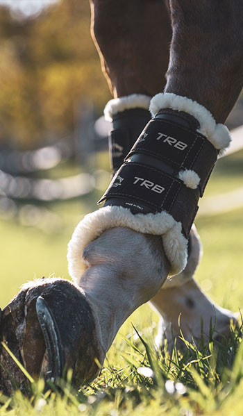 Protections Veredus TRB Save The Sheep